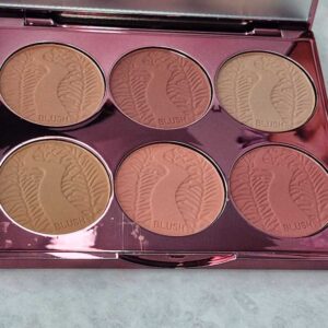 پالت رژگونه 6 رنگ کلارانس